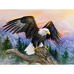 Paint By Numbers Eagle On A Log