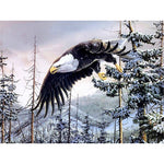 Paint By Numbers Eagle Over The Forest