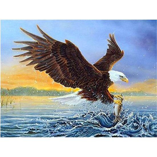 Paint By Numbers Fisher Eagle