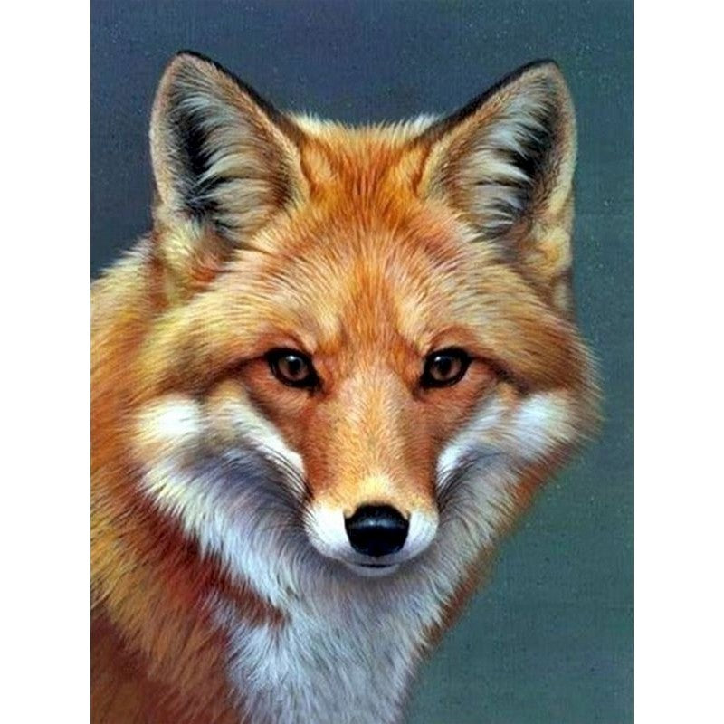 Paint By Numbers Head Fox