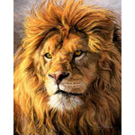Proud Lion Paint By Numbers