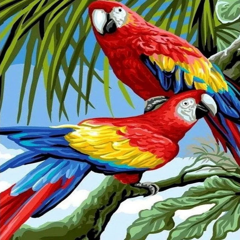 Scarlet Macaws Parrot Bird Paint by Numbers 