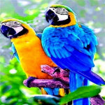 Glaucous Macaw Parrot Birds Paint by Numbers 