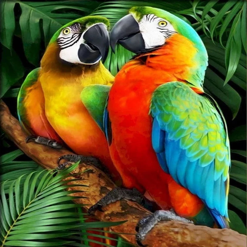 Couple Tropical Parrot Paint by Numbers 