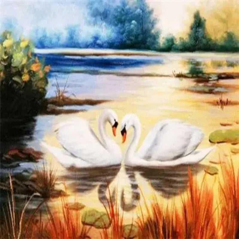 Loving Couple Swan Paint by Numbers