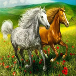 Spring Grass And Horses Paint by Numbers 