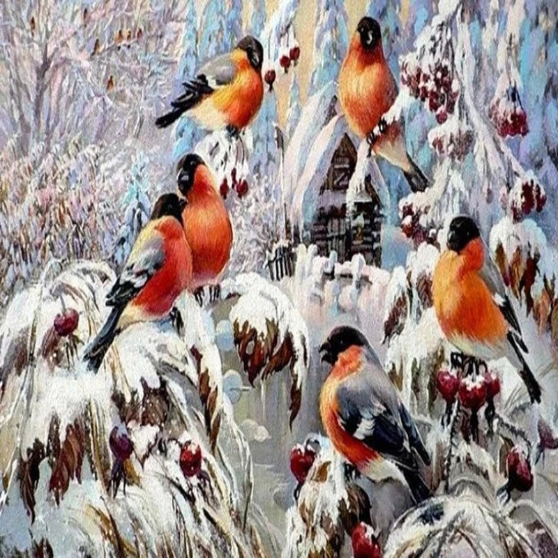 Birds Winter Life Scene Paint by Numbers