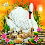 Mother And Baby Swan At Sunset Paint by Numbers