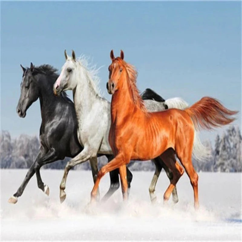 Tricolor Running Horse Paint by Numbers