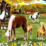 Beautiful Horses In Farm Paint by Numbers 