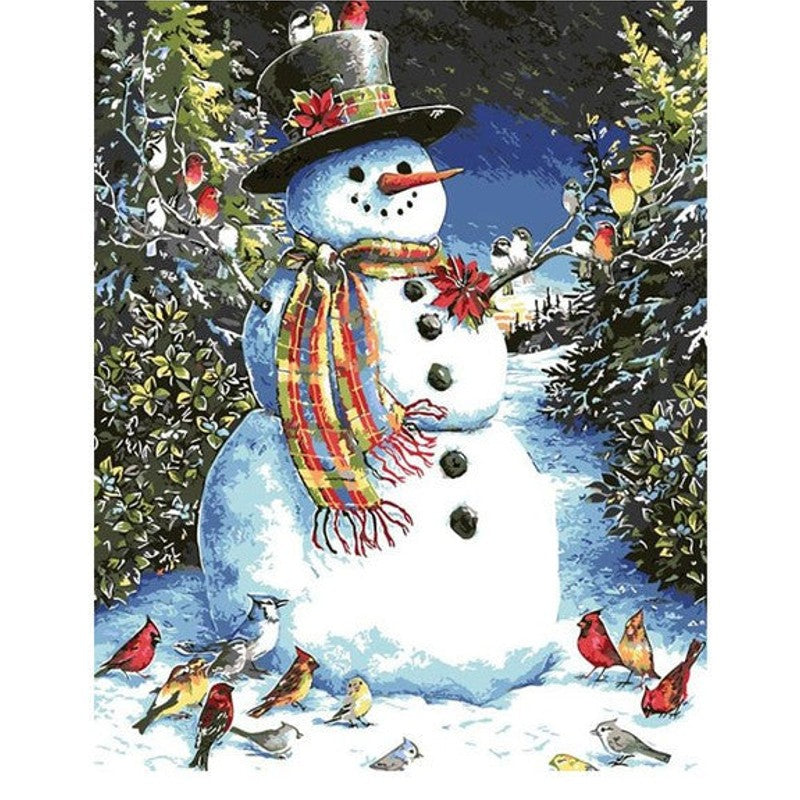 Snowman And Birds Paint By Numbers Kit