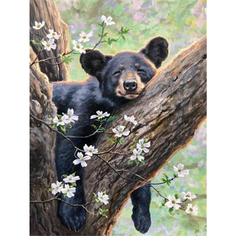 Paint By Numbers Bear Kits For Adults   Bear SNap 