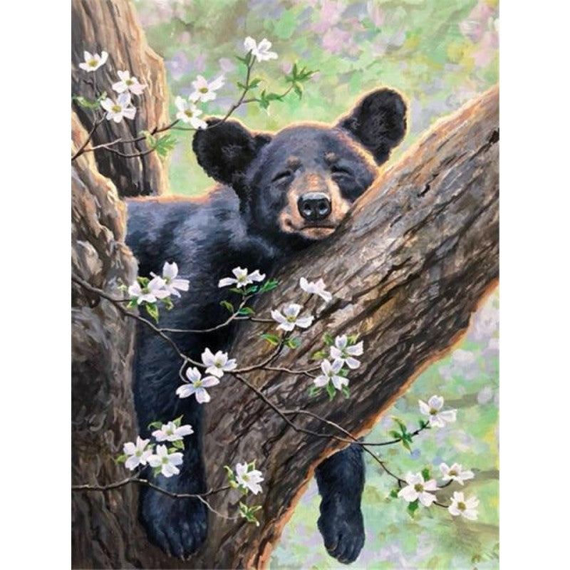 paint by numbers bears nap