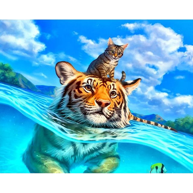 Tiger Swimming And Cat