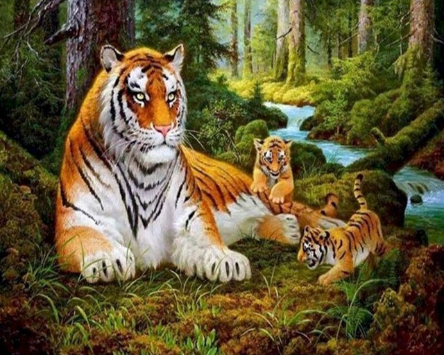 Tiger Family In Forest