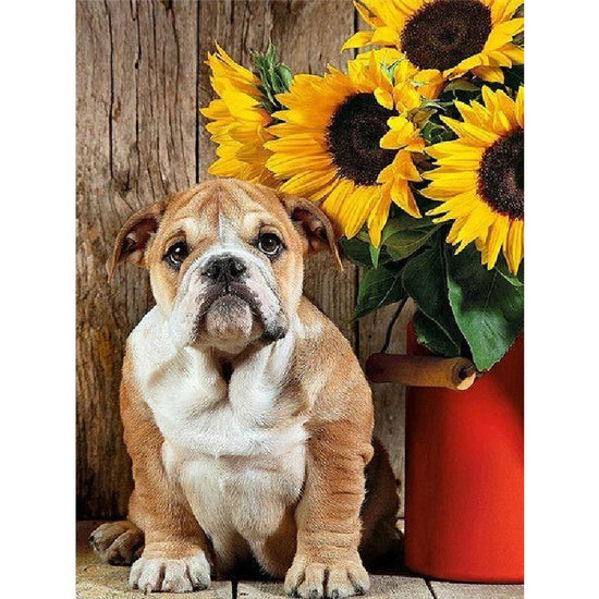 Paint By Numbers Sunflowers And Bulldog