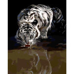 Paint By Numbers Drinking Tiger