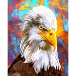 paint by numbers eagle head