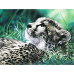 Paint By Numbers Cheetah