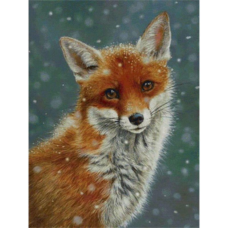 Paint By Numbers Vintage Fox