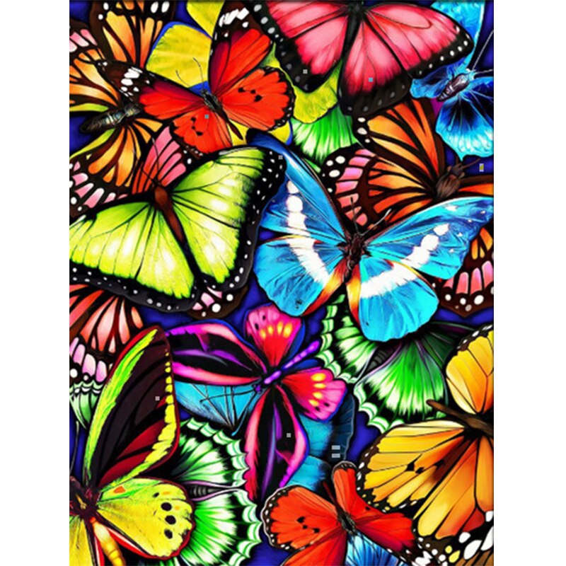 Paint By Numbers Butterfly Mat