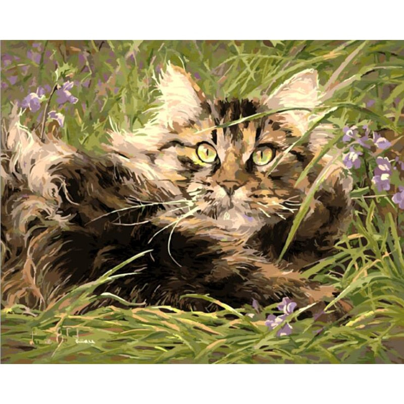 Paint By Numbers Cat In Meadow
