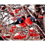 Little Red Birds paint by numbers