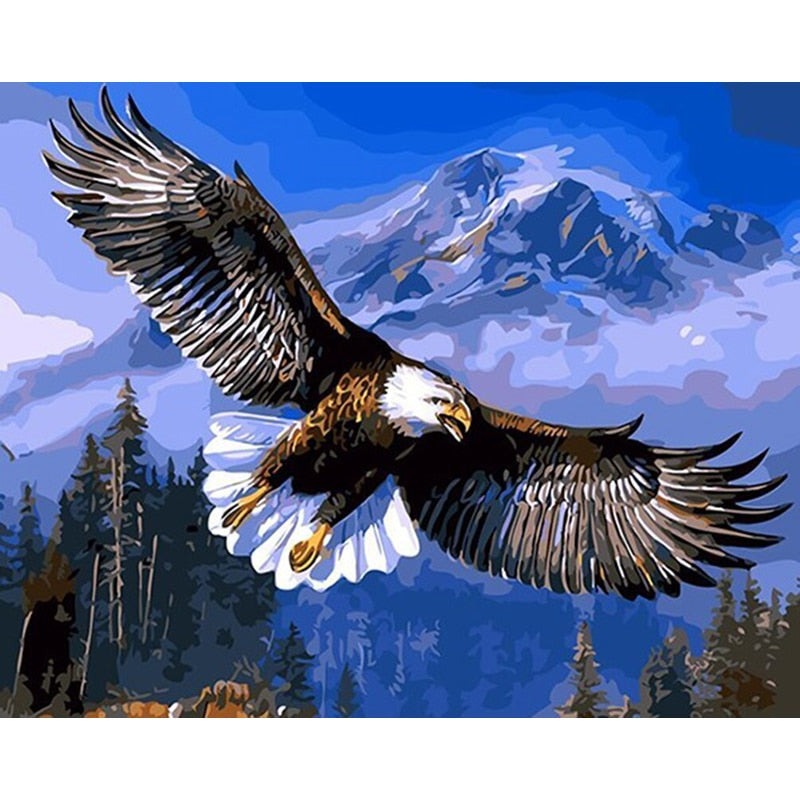 Bald Eagle Paint By Numbers