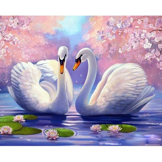 Paint By Numbers Couple Swan