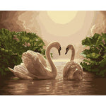 Pair Of Swans Paint By Numbers