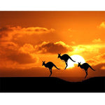 Paint By Numbers Sunset Kangaroo