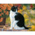Paint By Numbers Tuxedo Cat