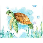 Paint By Numbers Cartoon Turtle