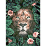 Paint By Numbers Lion In Foliage