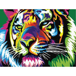 Paint By Numbers Tiger Multicolor