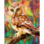 Paint By Numbers Owl With Piercing Eyes