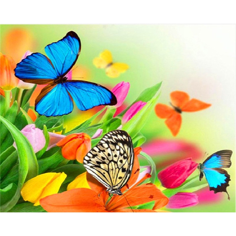 Paint By Numbers Butterflies On Flowers