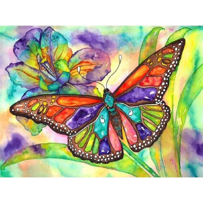 Paint By Numbers Butterfly Design