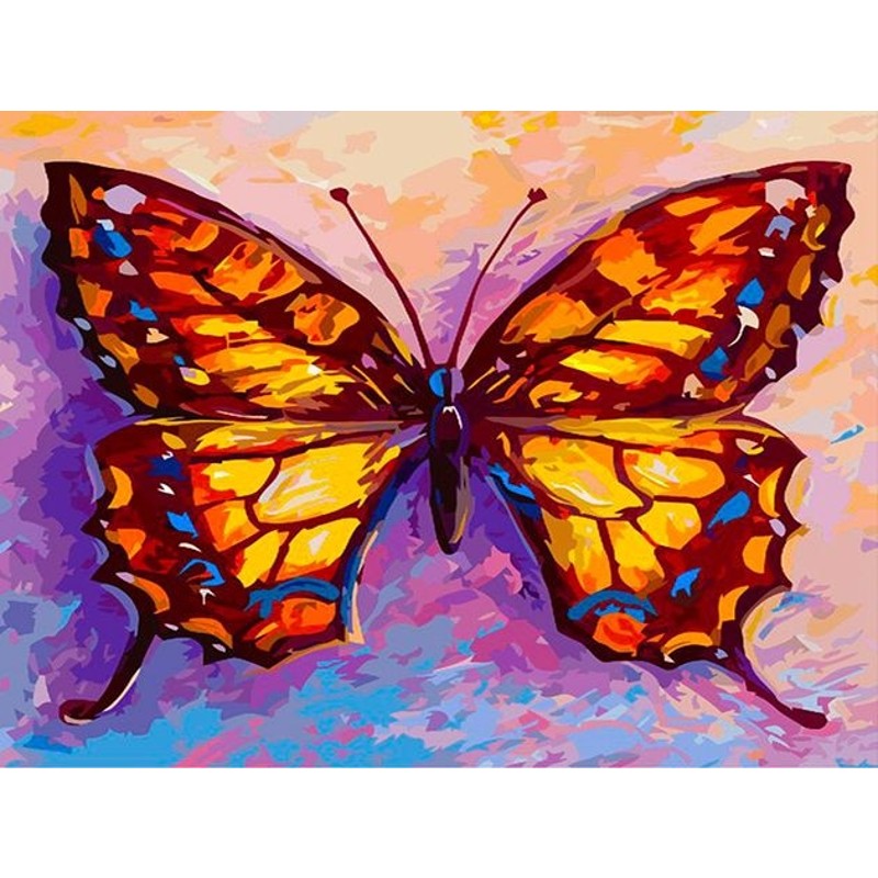 Paint By Numbers Butterfly Orange