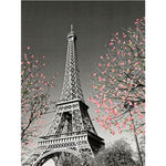 Paint By Numbers Eiffel Tower And Pink Foliage