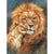Paint By Numbers Lion Love