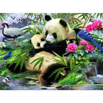 Paint By Numbers Panda And Birds