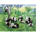 Paint By Numbers Panda Family