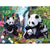 Paint By Numbers Panda Family And Waterfall