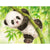 Paint By Numbers Panda In Bamboo
