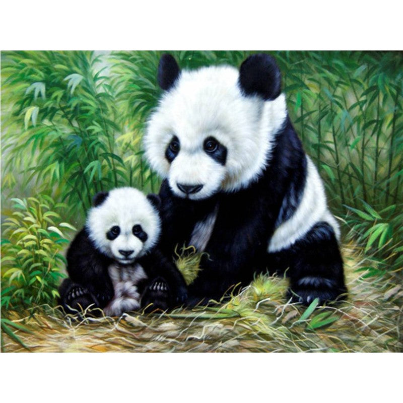 Paint By Numbers Panda Mother
