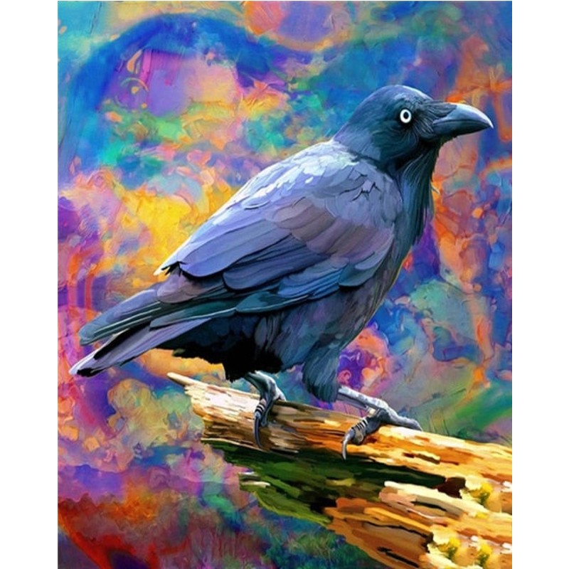 Paint By Numbers Raven