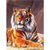 Paint By Numbers Royal Tiger