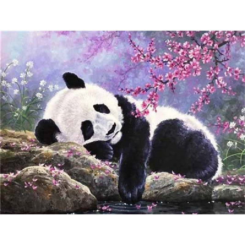 Paint By Numbers Sleeping Panda