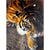 Paint By Numbers Tiger Photo